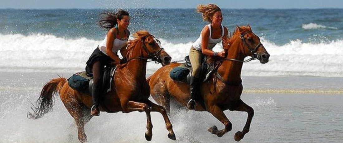 Horse Riding in agadir