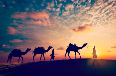 Sunset Camel Ride in agadir