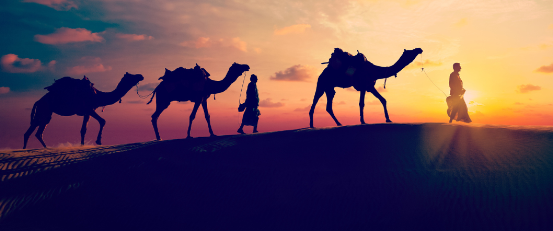 Agadir Camel Ride