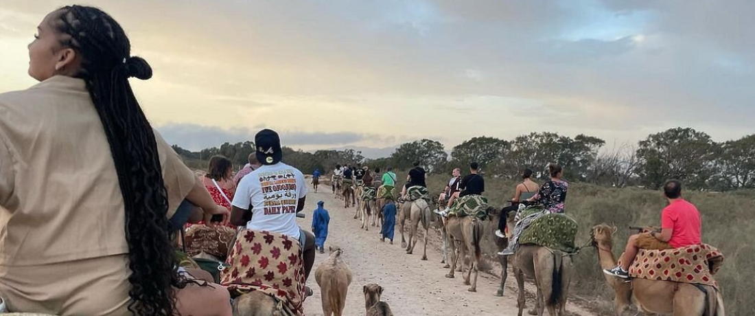 camel ride